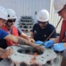 El CSIC instala arrecifes artificiales en el mar de Alborán para restaurar los corales de profundidad
