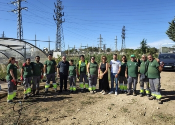 Villena recibe una subvención de 565.000 euros para ampliar 12 meses más el Taller Acción Inserta de Jardinería y Agricultura