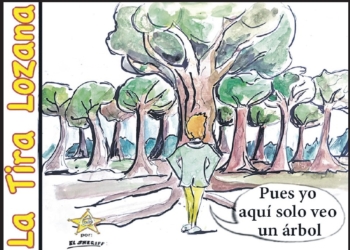 Que el árbol no te impida ver el bosque