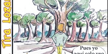 Que el árbol no te impida ver el bosque