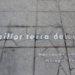 Alicante: lenguas e identidad a debate