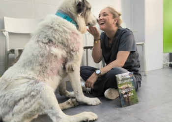 «Los animales empatizan mucho más»