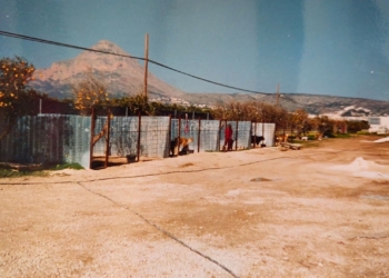 «Hay muchos perros esperando un hogar»
