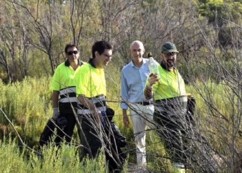 Finaliza el refuerzo estival de limpieza en La Devesa