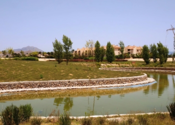 ‘Sequet’, ‘sanet’ y verde