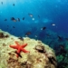Donde el azul respira más fuerte
