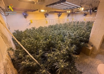 La Guardia Civil desmantelada una plantación de marihuana e investiga a tres personas