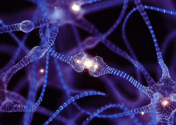 Un estudio sobre neuronas del ojo abre la puerta a modelos de IA más precisos