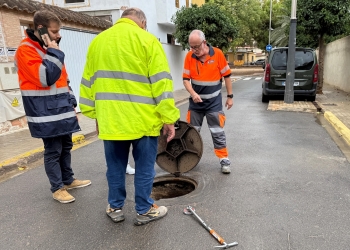 Más tratamientos para un Alfafar más limpio y libre de visitas indeseadas