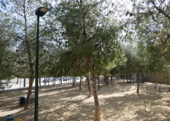 El Ayuntamiento acepta una subvención para sufragar el servicio de mantenimiento de parques y jardines