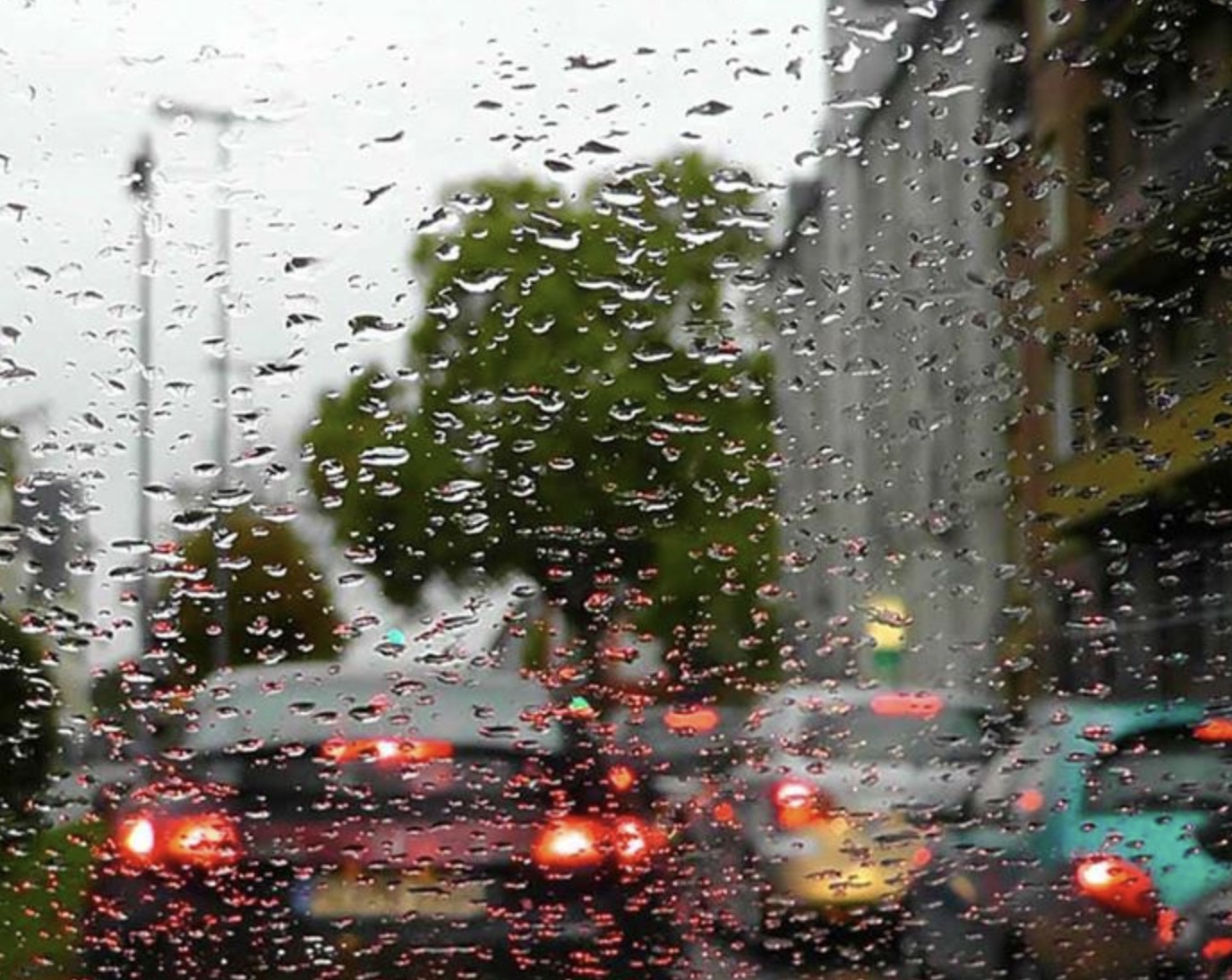 El Ayuntamiento decreta la suspensión del mercadillo semanal, las actividades culturales y deportivas y el cierre de los parques municipales