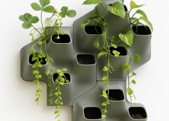 Investigadores de la UA y de la UPC desarrollan una fachada vegetal que imita el funcionamiento de los humedales