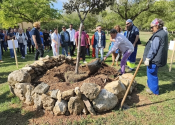 La Generalitat y el Hospital de Salud Mental de Bétera colaboran en la creación de viveros terapéuticos