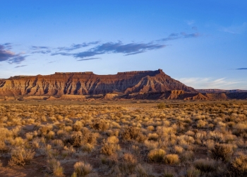 Las sequías prolongadas y extremas ponen en peligro la capacidad de pastizales y matorrales para almacenar carbono
