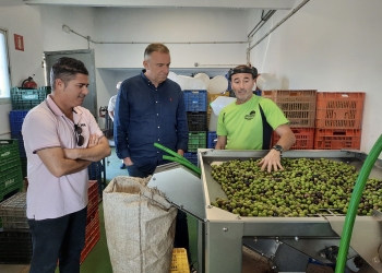 La Almazara Municipal augura un incremento notable de la producción de aceite