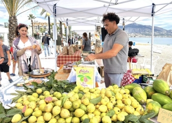 L’Alfàs del Pi acoge el próximo sábado la segunda edición de la feria ecológica Albir Organic