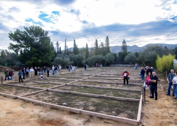 Benidorm entrega los 48 nuevos huertos urbanos de l’Horta y alcanza ya los 171 operativos