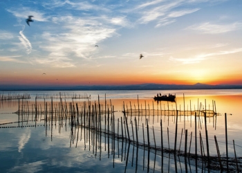 La Generalitat y el Ayuntamiento de València invertirán tres millones de euros en infraestructuras de depuración de la ciudad y L’Albufera