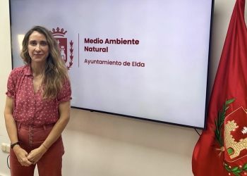 Protección Animal refuerza el control y la atención veterinaria de las colonias felinas de la ciudad