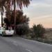 Elche redobla la fumigación para frenar la proliferación se mosquitos tras las lluvias