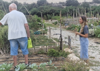 Medio Ambiente Natural refuerza el mantenimiento de los Huertos Municipales Ecológicos de Elda