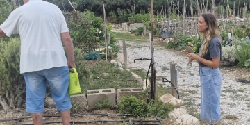 Medio Ambiente Natural refuerza el mantenimiento de los Huertos Municipales Ecológicos de Elda