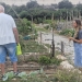 Medio Ambiente Natural refuerza el mantenimiento de los Huertos Municipales Ecológicos de Elda