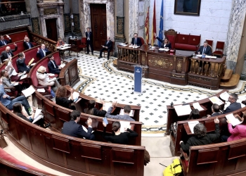 El Pleno acuerda seguir adelante con los presupuestos participativos ‘VLC Participa’