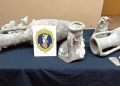 La Policía de la Generalitat recupera tres ánforas romanas y restos arqueológicos en Elche y Santa Pola