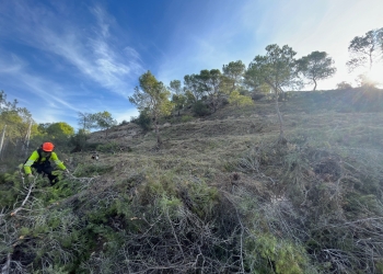 Prevenir para no tener que curar