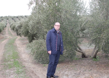 Memoria de las esquivas lavanderas