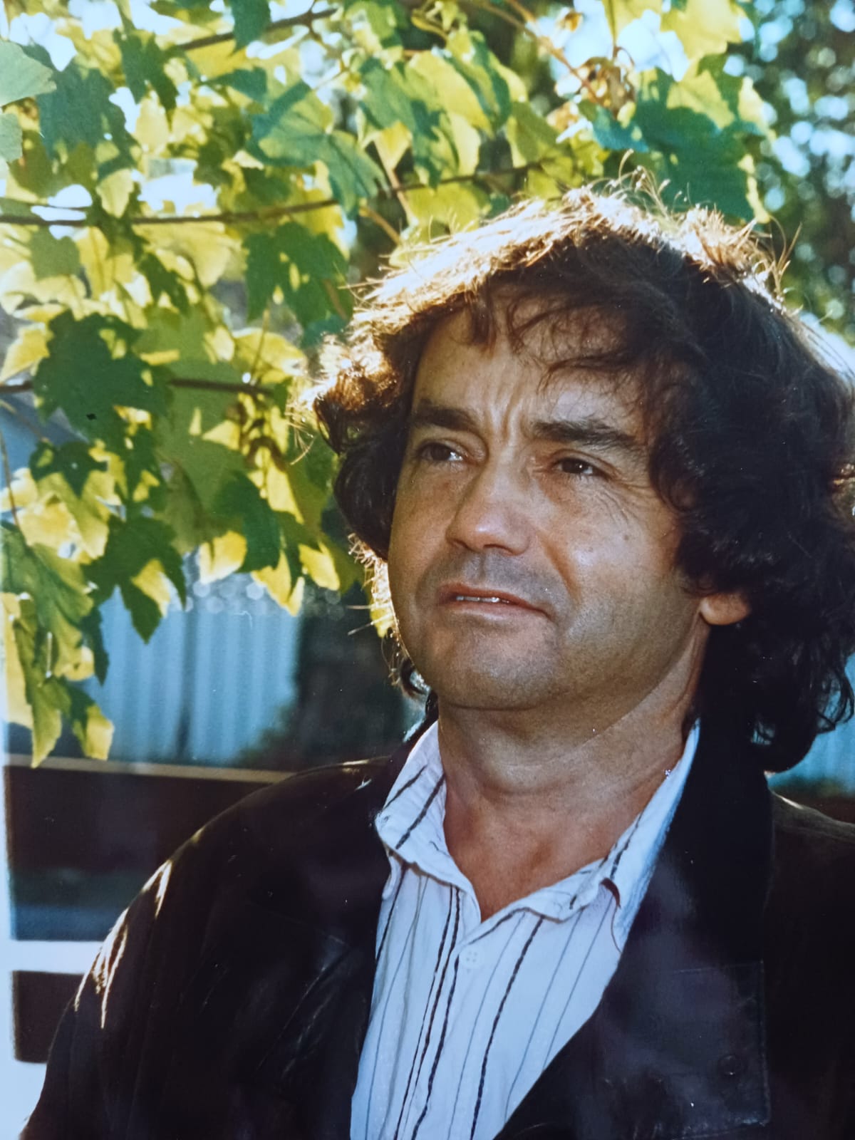 Joselito, la voz que llevó Utiel al mundo, ya es Hijo Adoptivo