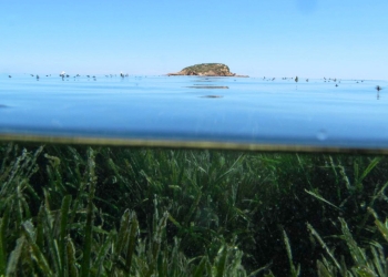 Explotar la bahía alteana para el turismo náutico de forma sostenible