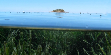 Explotar la bahía alteana para el turismo náutico de forma sostenible