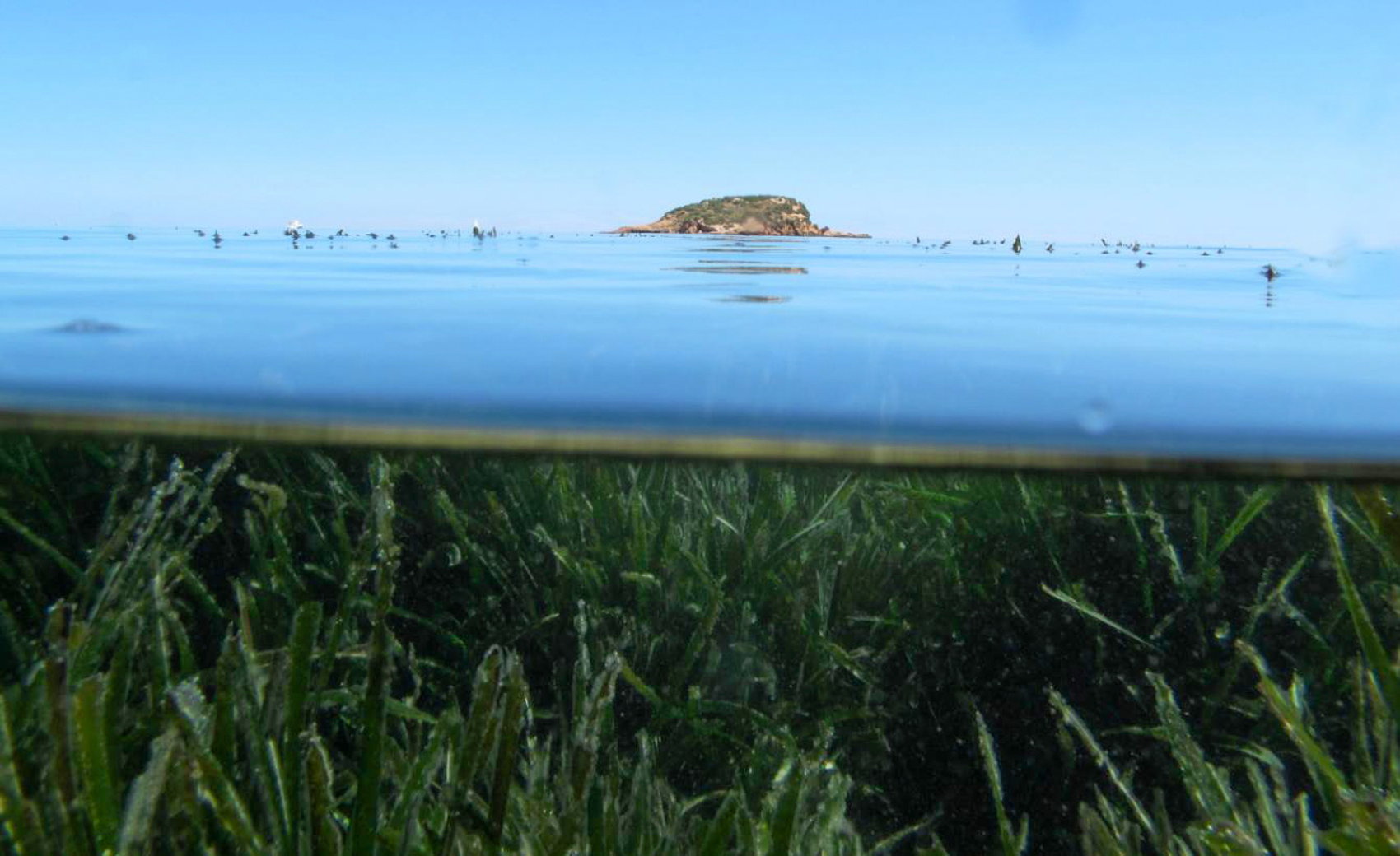 Explotar la bahía alteana para el turismo náutico de forma sostenible