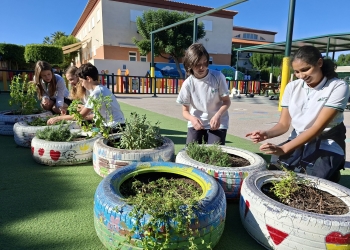 Alumnos de Alicante toman la iniciativa para combatir el cambio climático desde las aulas