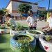 Alumnos de Alicante toman la iniciativa para combatir el cambio climático desde las aulas