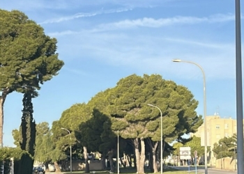 Orihuela licita la renovación del alumbrado público en la costa con una inversión de más de 416.000 euros