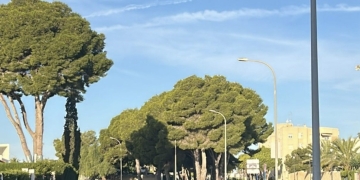 Orihuela licita la renovación del alumbrado público en la costa con una inversión de más de 416.000 euros