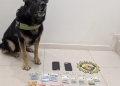 La Policía Local de Xàbia y el agente canino Kosmo detienen a un individuo por presunto tráfico de drogas