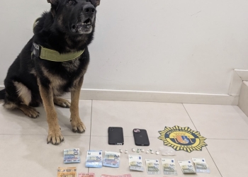 La Policía Local de Xàbia y el agente canino Kosmo detienen a un individuo por presunto tráfico de drogas