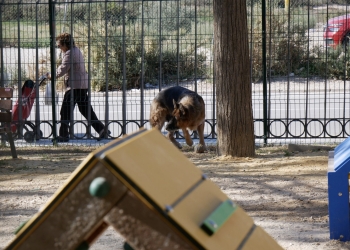 El Ayuntamiento abre al público el nuevo parque canino del Parque de Ronda Sur