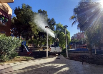 Tratamiento preventivo frente a la procesionaria del pino