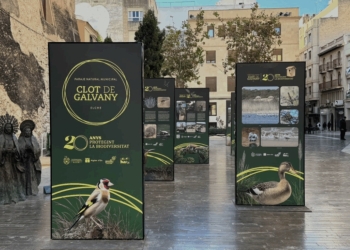 La Plaza Santa Isabel acoge una exposición sobre el Clot de Galvany