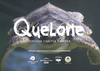 Dos artistas crean una canción para Quelone, la tortuga del Aquarium