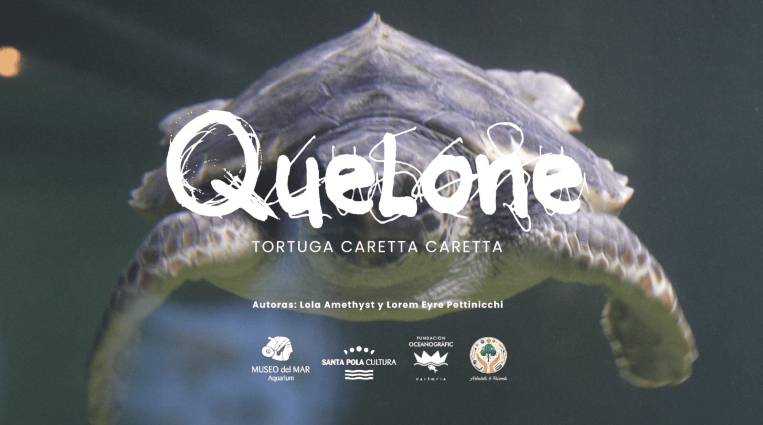 Dos artistas crean una canción para Quelone, la tortuga del Aquarium
