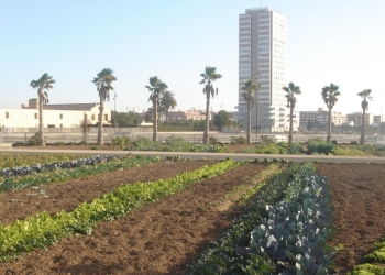 Los Huertos Urbanos de Sociópolis estarán listos a principios de 2026