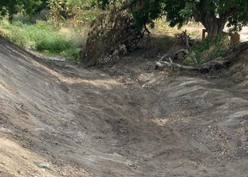 Donde el cauce soñaba en huertas