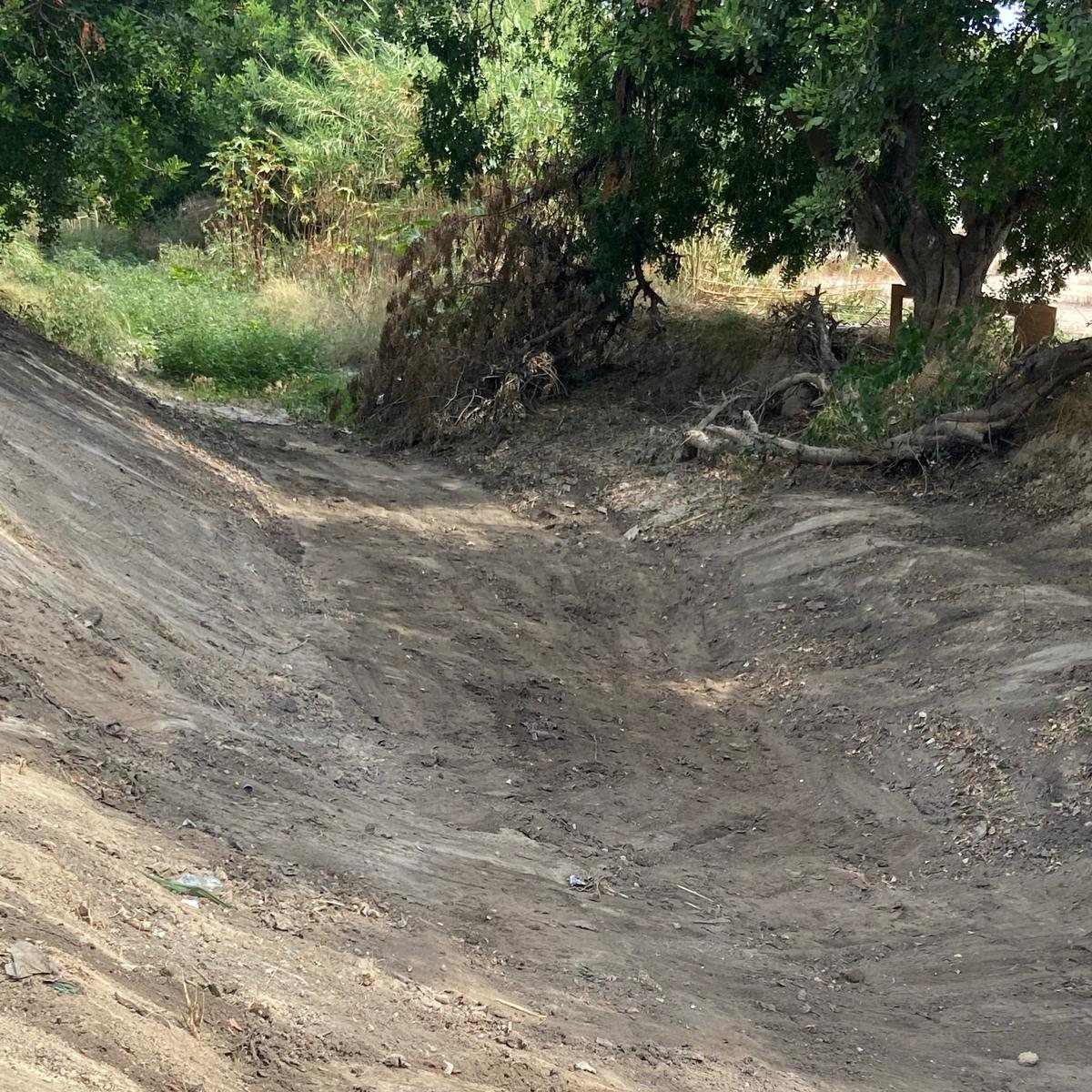 Donde el cauce soñaba en huertas