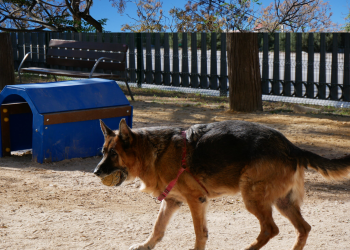 Crevillent ya tiene un segundo parque canino, en la Ronda Sur